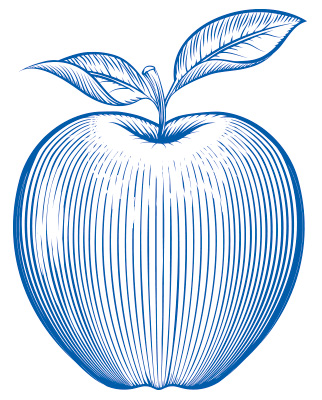 Grafik eines Apfels